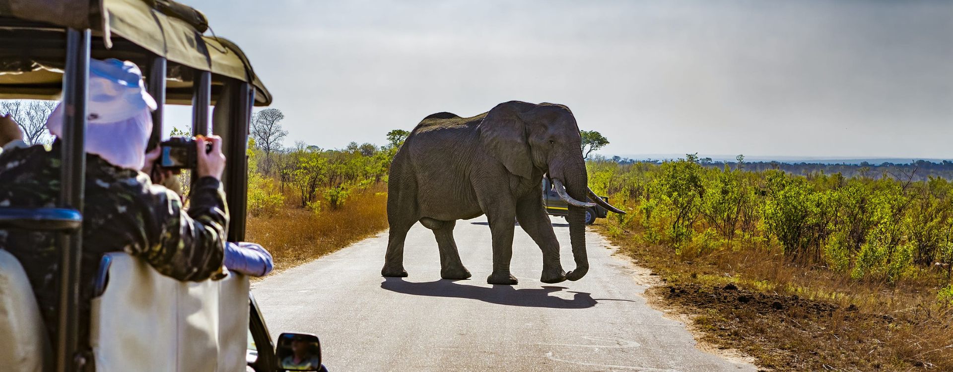 South Africa Safari Cost