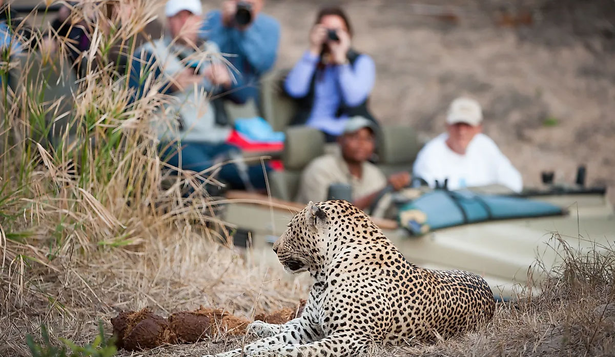South Africa Safari Packages