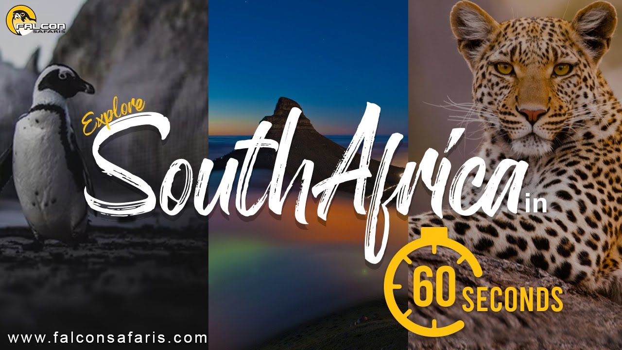 South Africa Safari