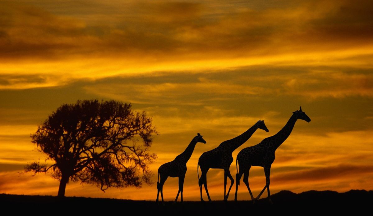 South Africa Tourism