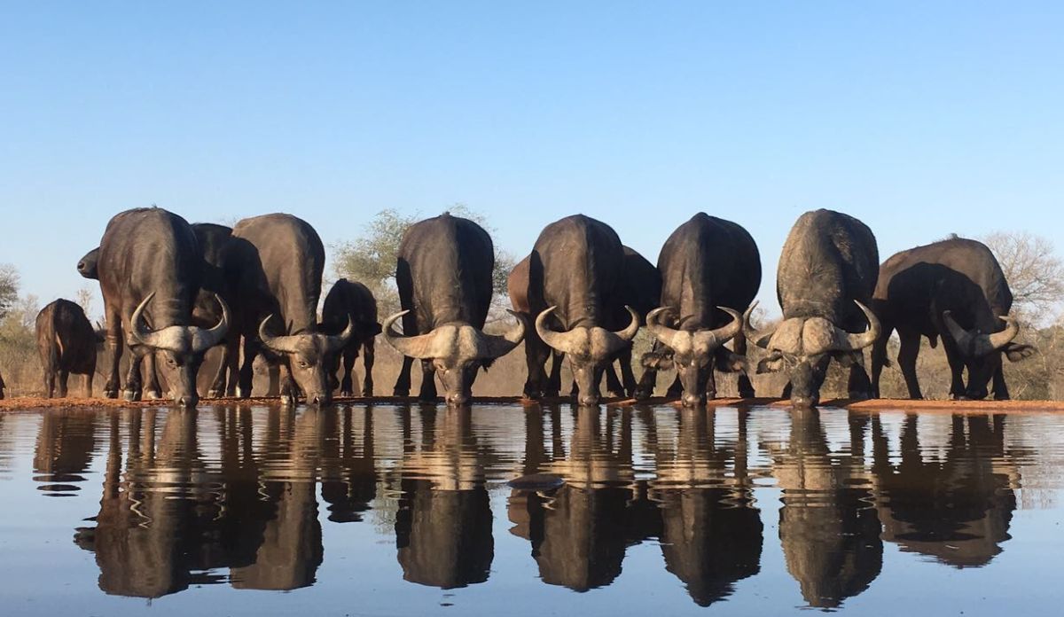 South Africa Travel Facts