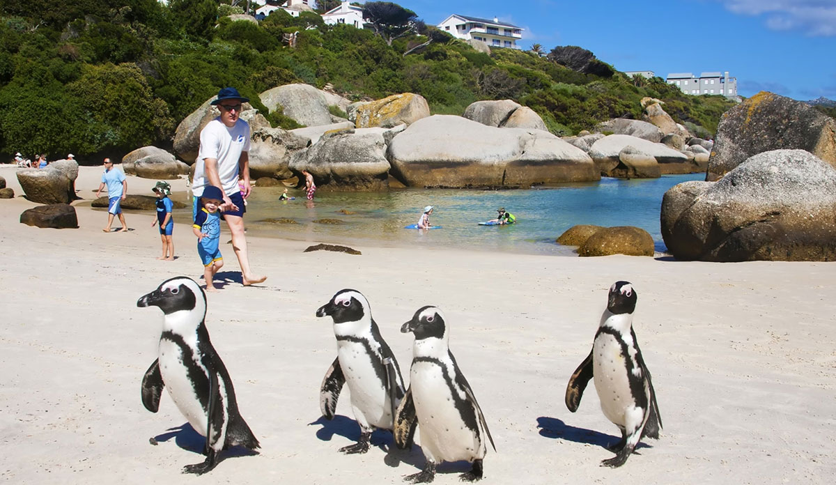 South Africa Travel Facts