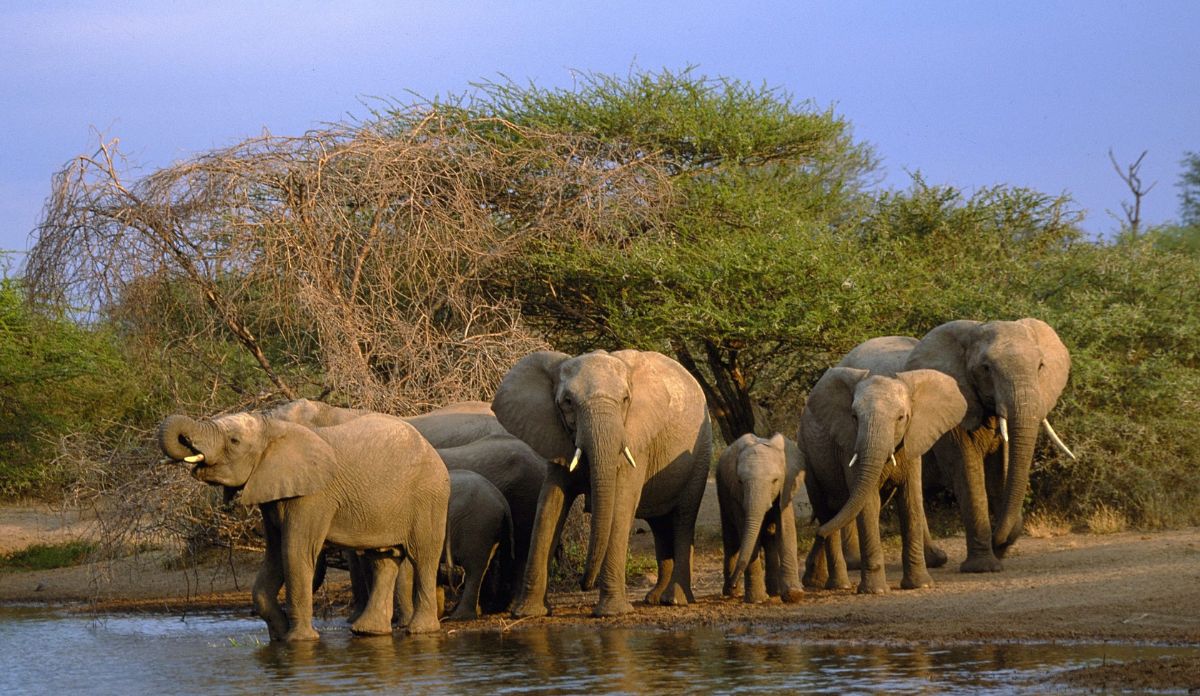 South Africa Travel Facts
