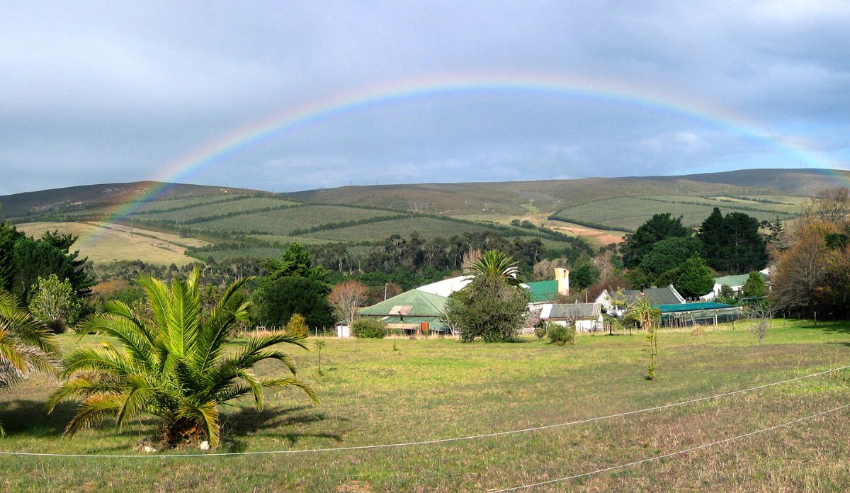 South Africa Travel Requirements