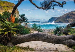 South Africa Travel Requirements