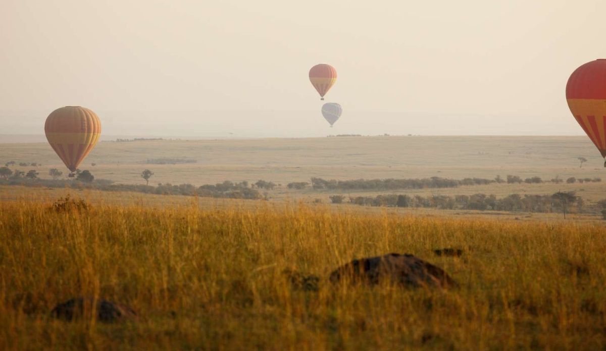 South Africa Wildlife