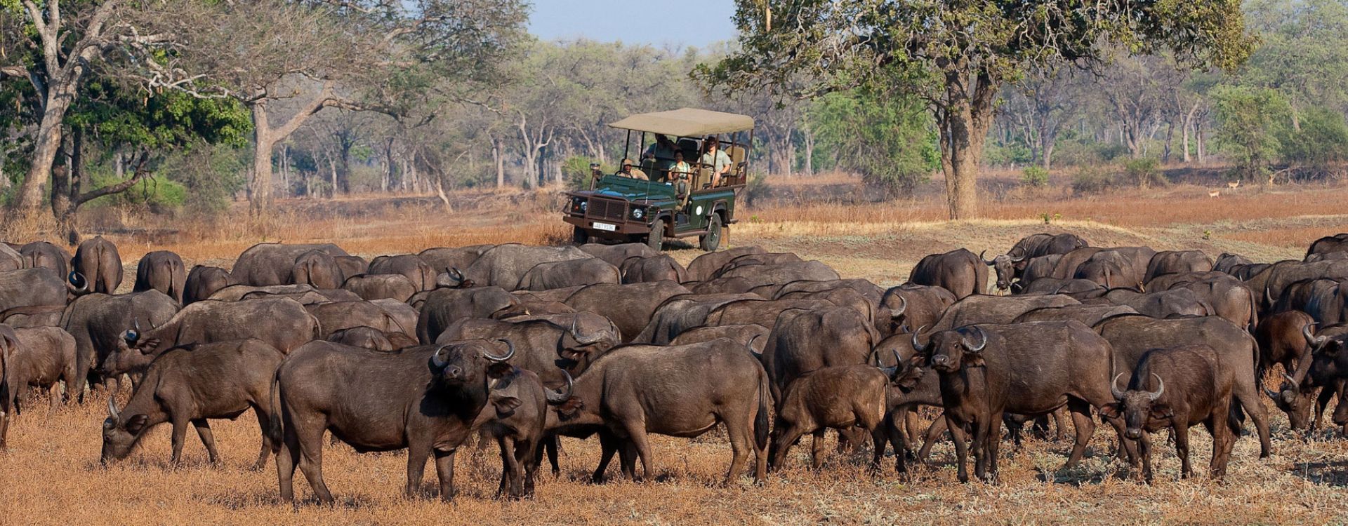 South Luangwa National Park