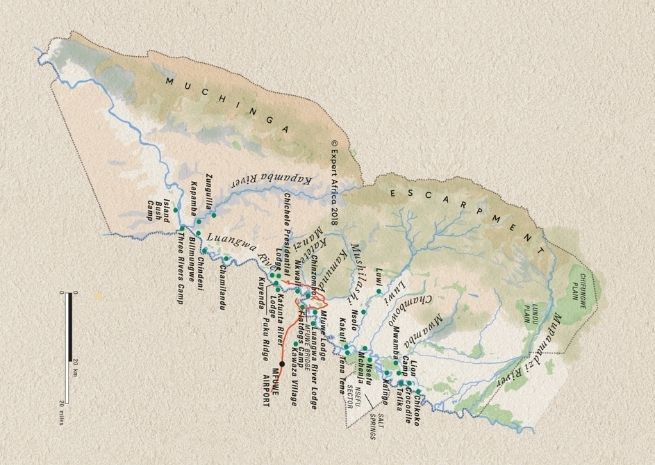 south luangawa national park
