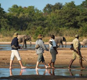 Walking Safari