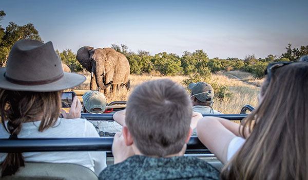 11 Days Joburg, Kruger, Swaziland, KwaZulu Natal & Timbavati, Cape Town