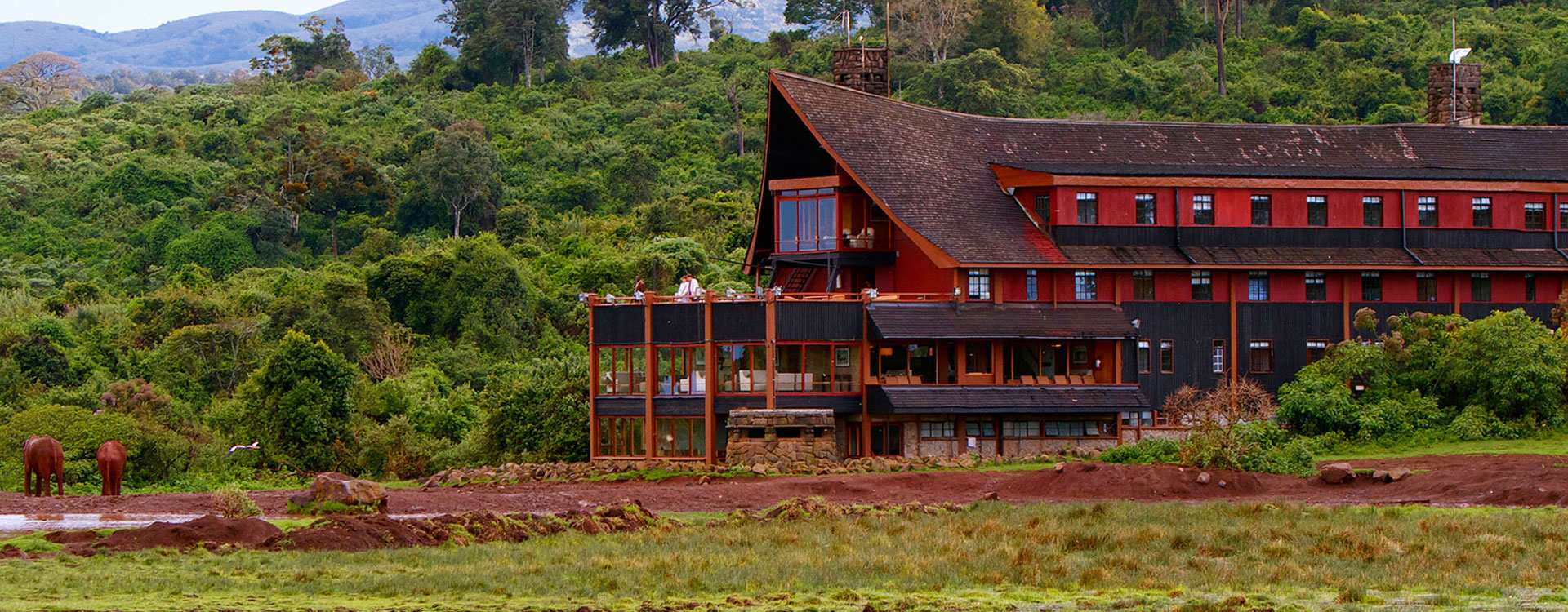 The Ark Lodge