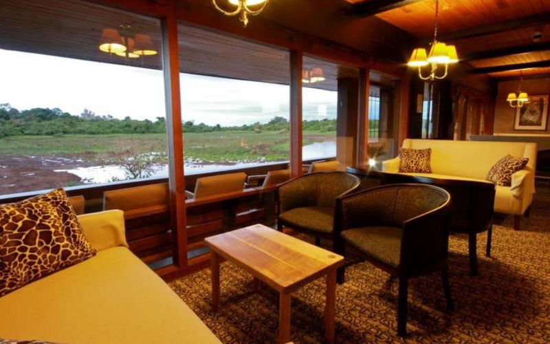 The Ark Lodge