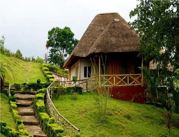 The Baboon Safari Resort