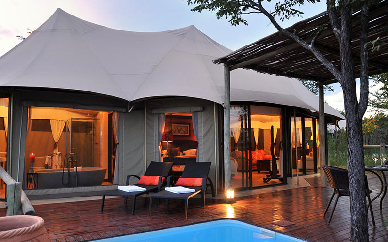 The Elephant Camp