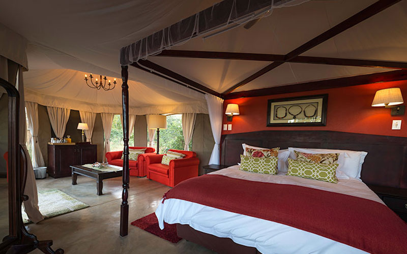 The Elephant Camp