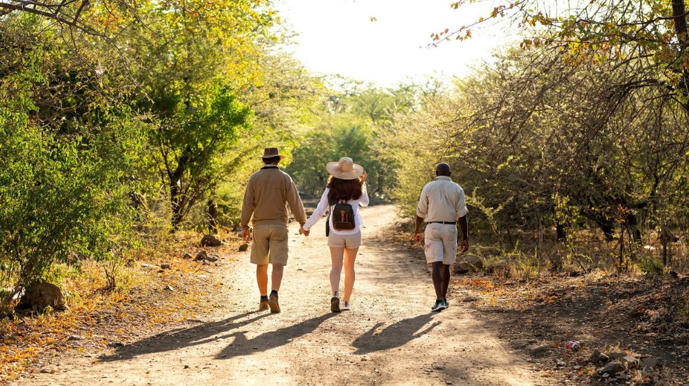 Things To Do In Chobe National Park