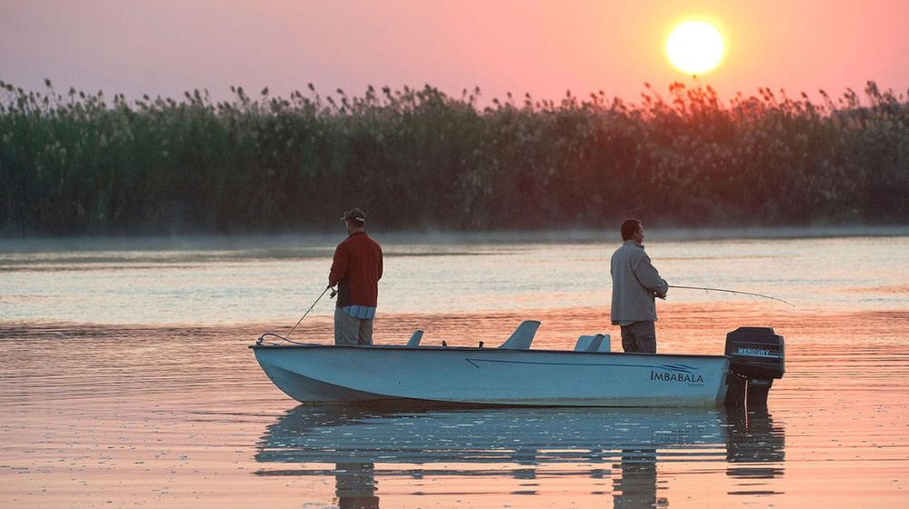 Things To Do In Chobe National Park