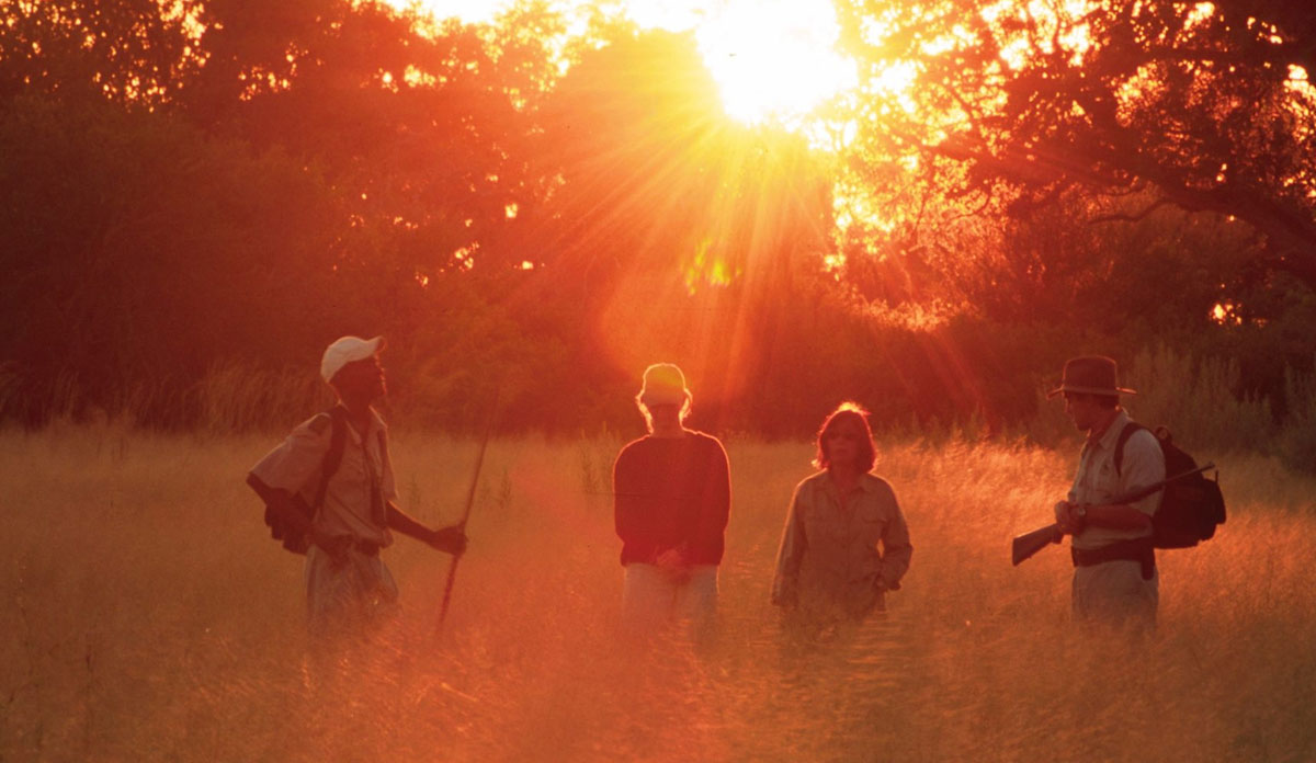 Things To Do In Okavango Delta