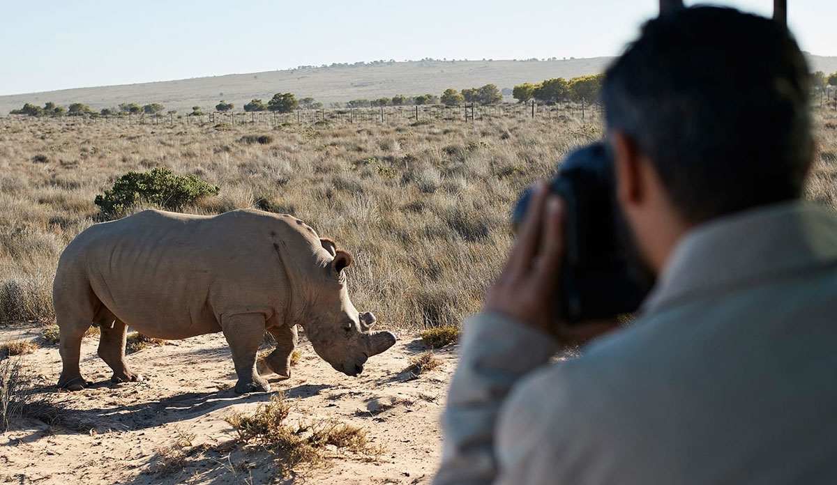 Things To Do In South Africa