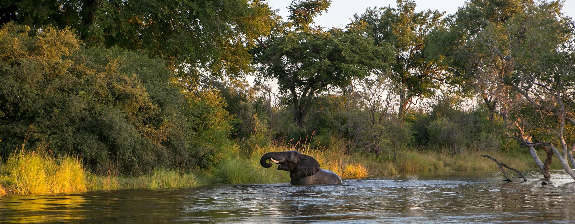 Things To Do In Zambia