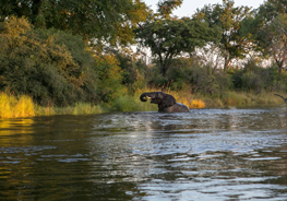 Things To Do In Zambia