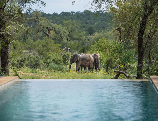 Toro Yaka Bush Lodge