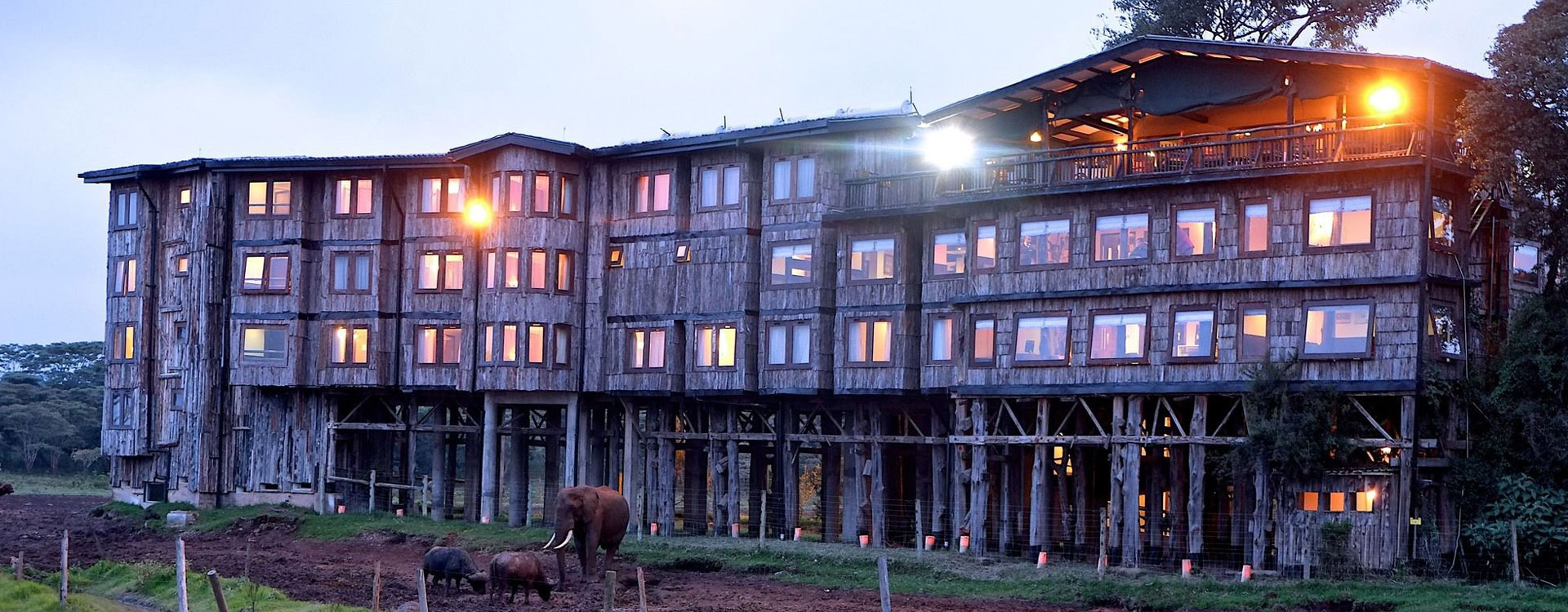 Treetops Lodge