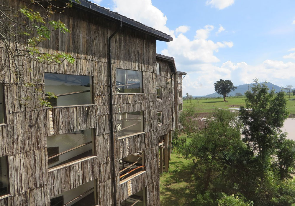 Treetops Lodge