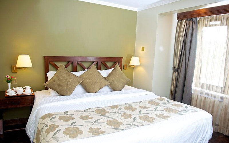 Treetops Lodge