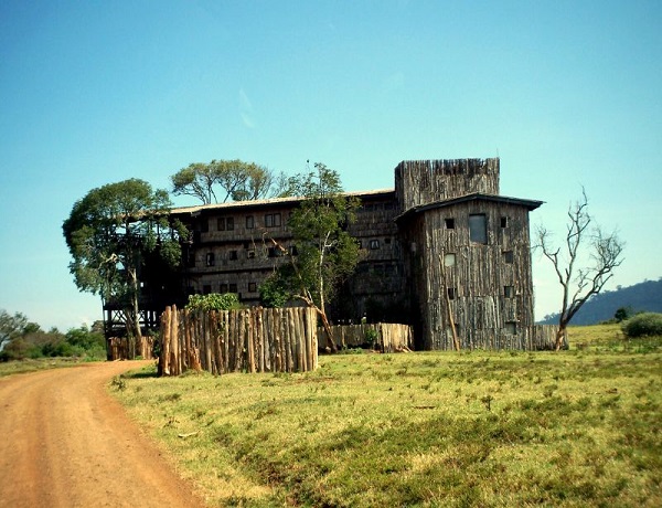 Treetops Lodge