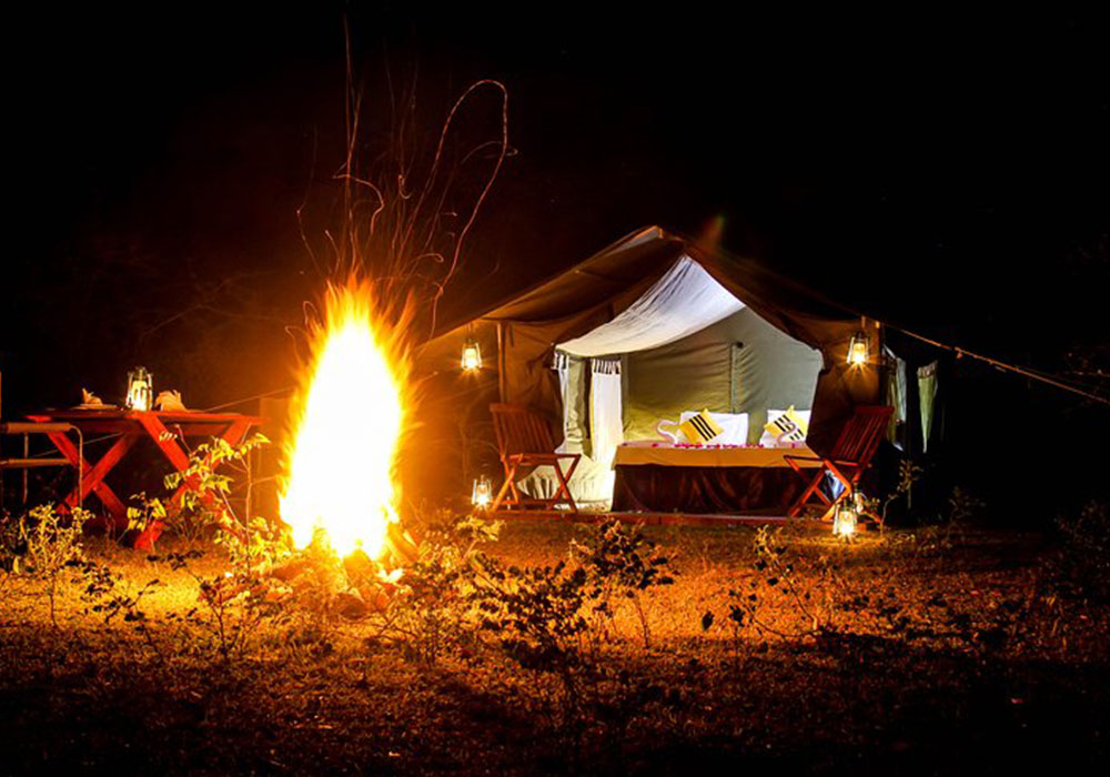 Tuskers Campsite