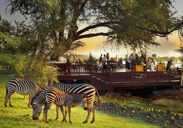 Victoria Falls wildlife