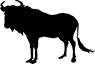 wildebeest