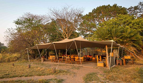 Busanga Bush Camp