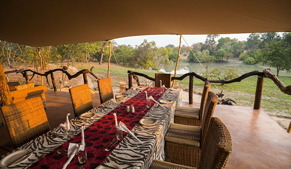 Fig Tree Bush Camp