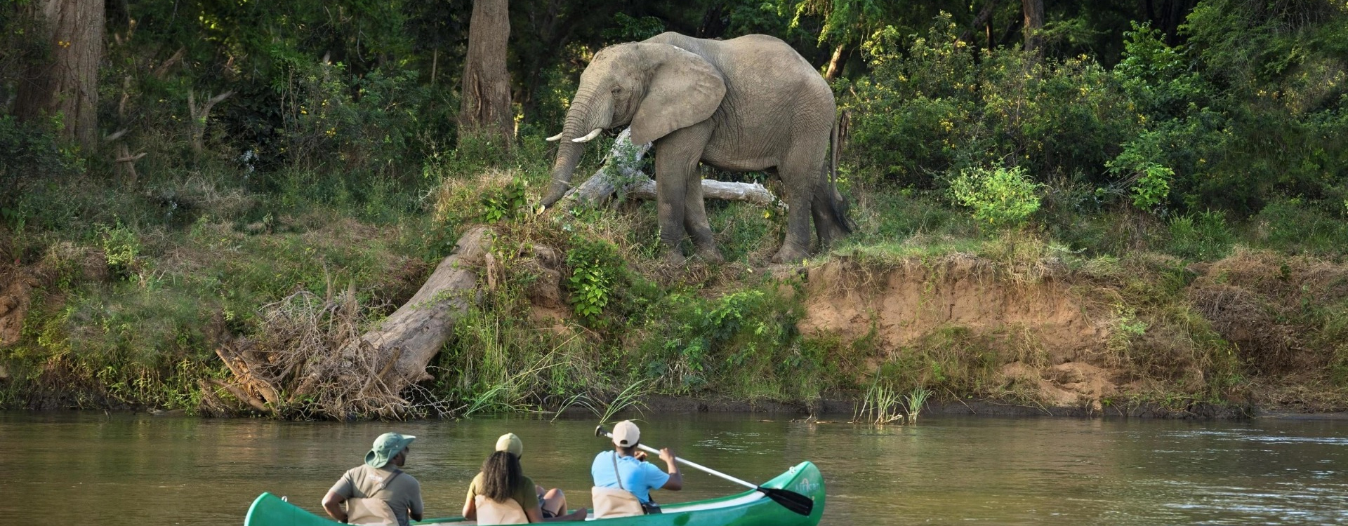 Zambia Safari