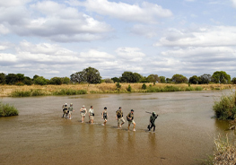 Zambia Safari Cost