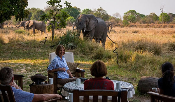 9 Days Highlights Of Zambia Safari Tour