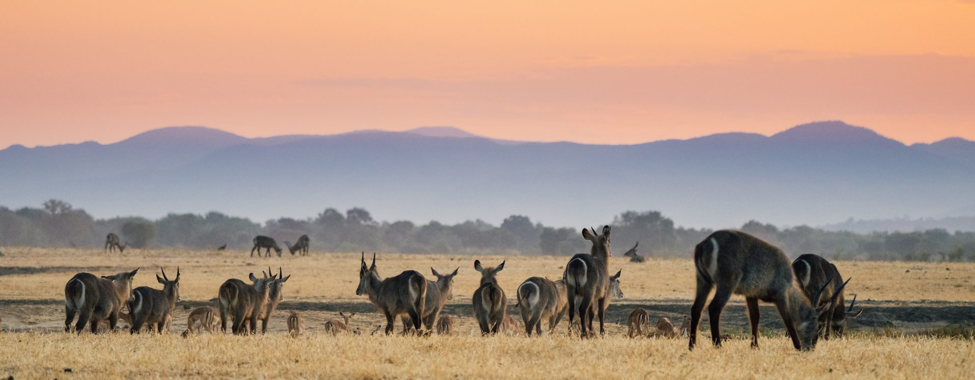 Zambia Travel Facts