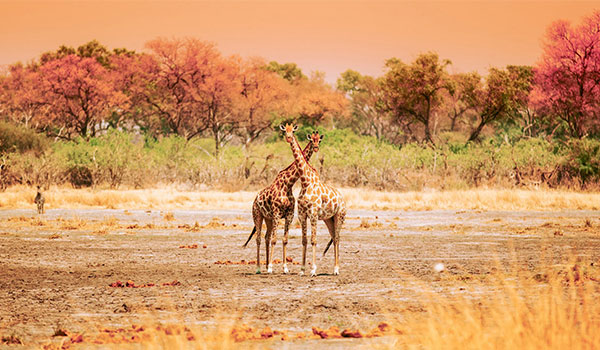 Kafue