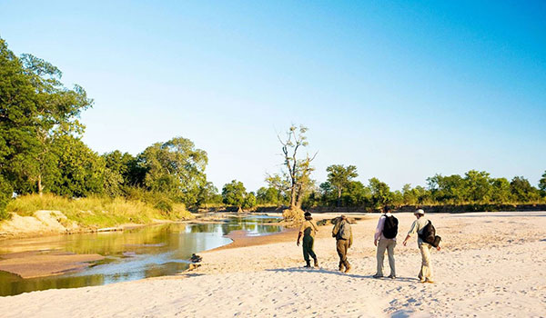 North Luangwa