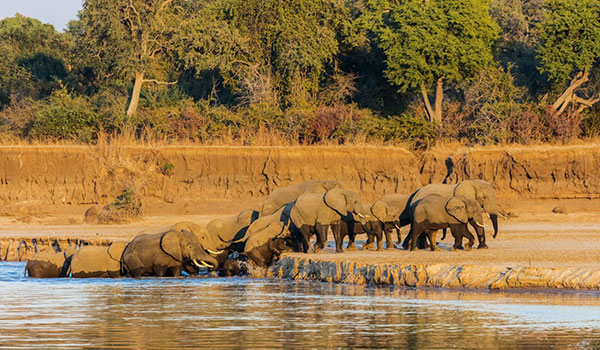 South Luangwa