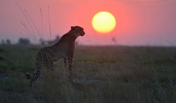 Liuwa National Park