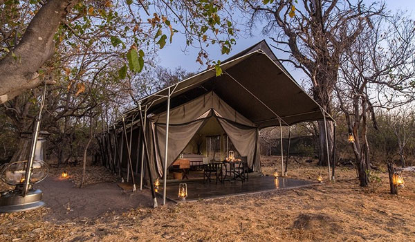 Ingwe Pan Camp