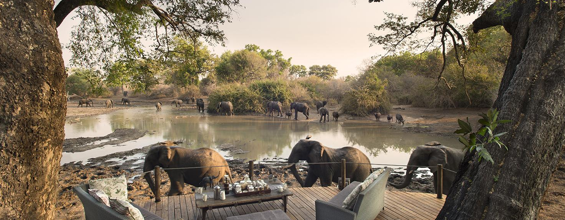 Zimbabwe Safari