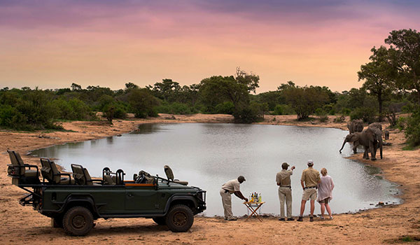 4 Day Hwange Safari Escape
