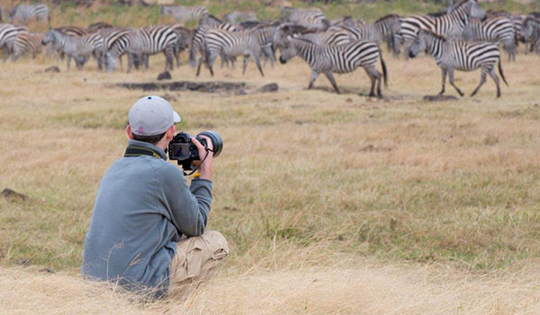 12 Days Sooty Falcon Safaris