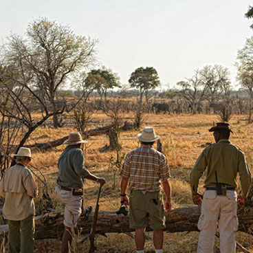 4 Day Zambezi Package