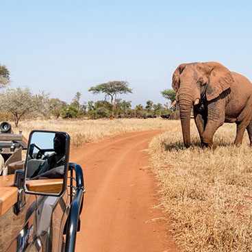 4 Day Zambezi Package