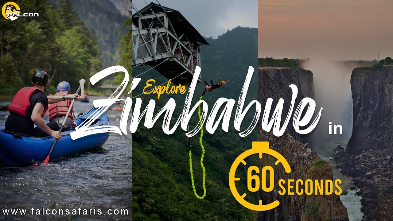 Zimbabwe Safari